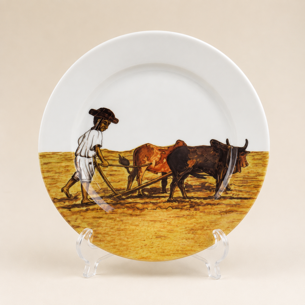 Dinner plate set