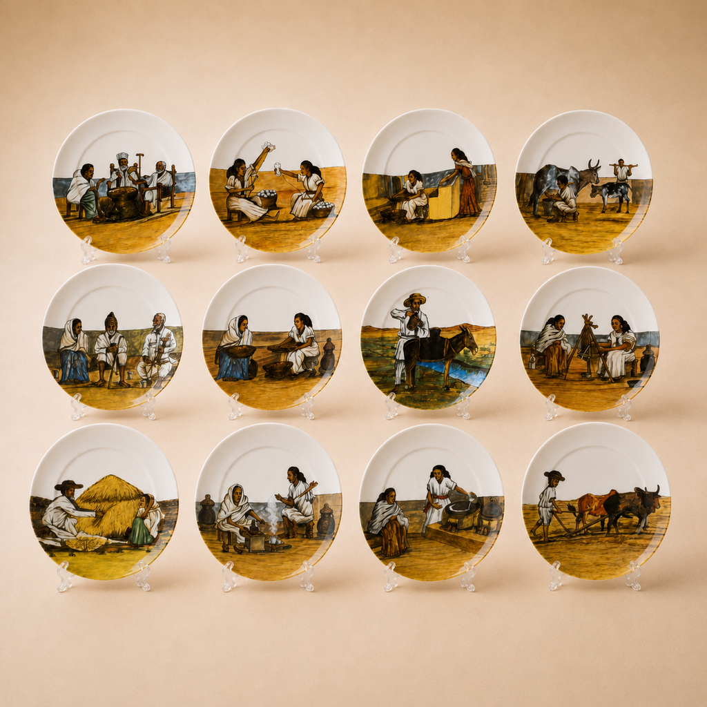 12 Piece Dinner Plate Set