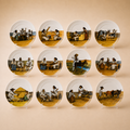 12 Piece Dinner Plate Set