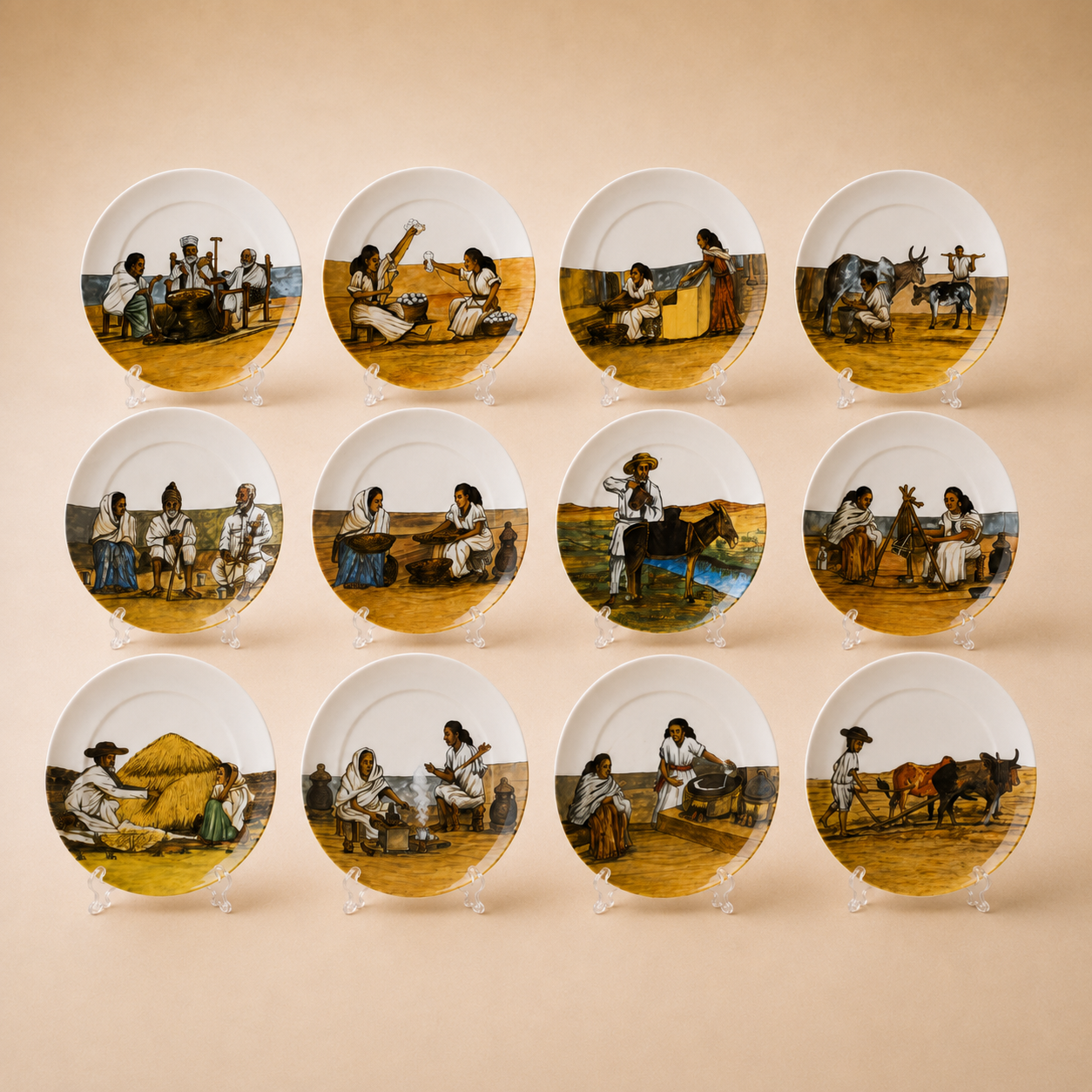 12 Piece Dinner Plate Set